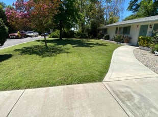 Monica W.'s lawn care service result