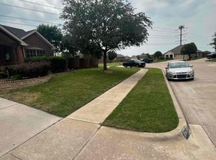 Alicia M.'s lawn care services service result