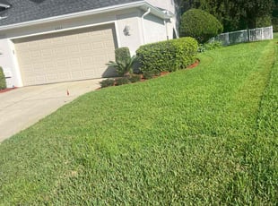 Mike D.'s lawn care service result