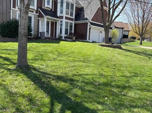 Charlie F.'s lawn maintenance service result