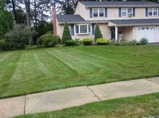 Fadi H.'s lawn care services service result
