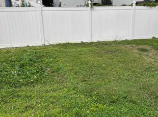 Jeffery s.'s turf maintenance service result