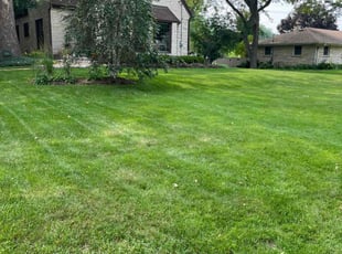 Alex K.'s landscaping service result