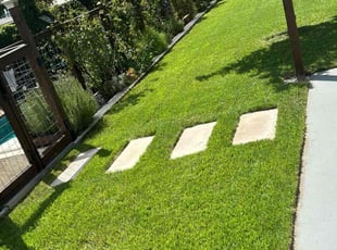 Micah R.'s lawn care service result