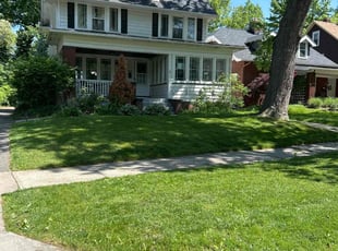 Patricia H.'s lawn care service result