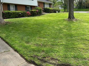 Vonetta W.'s lawn care services service result