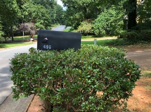 Vanese R.'s Bush Trimming service result