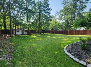 Clint H.'s turf care service result