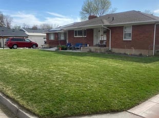 Katelin N.'s lawn care service result
