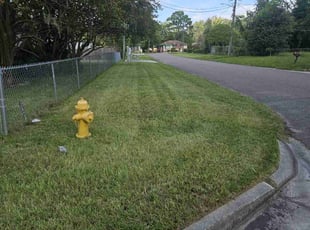 Dale M.'s lawn care services service result