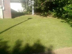 Joel S.'s turf care service result