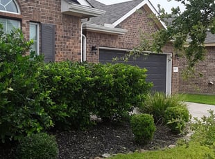 Alwyn D.'s Flower Bed Weeding service result