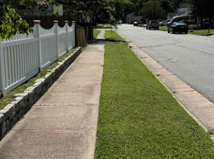 Lisa C.'s lawn service service result