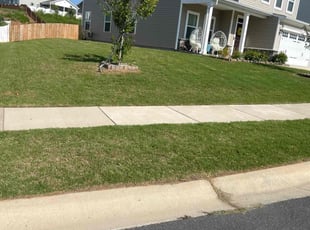 Lynn E.'s turf maintenance service result