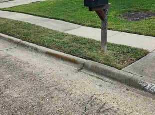 Kristen L.'s grass maintenance service result