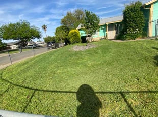 Mark S.'s lawn care services service result