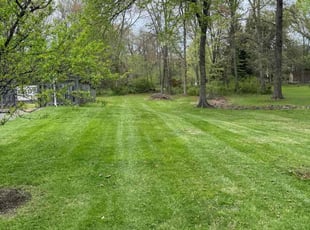 Susan B.'s lawn maintenance service result