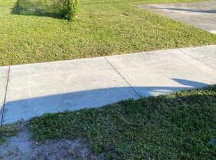 Amber M.'s turf maintenance service result