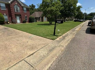 Robert D.'s lawn care service result