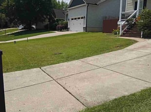 Don G.'s lawn maintenance service result