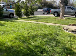Jamillah O.'s lawn maintenance service result