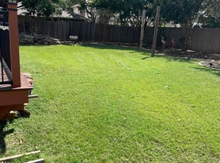Dean H.'s turf maintenance service result