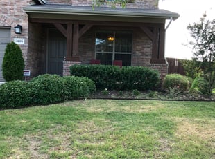 Heidi N.'s Bush Trimming service result