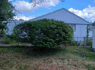 Cheryl G.'s Bush Trimming service result