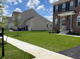 Maria T.'s landscaping services service result