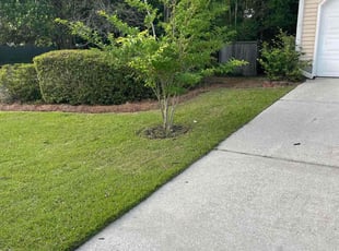 Lisa S.'s lawn service service result