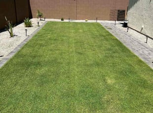 Curtis S.'s gardening service service result