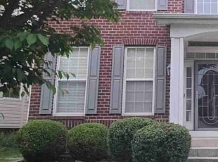 Gayle T.'s Bush Trimming service result