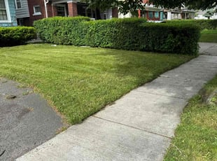 Merrisa B.'s turf maintenance service result