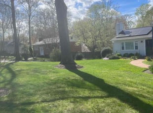 Johnathan M.'s grass maintenance service result