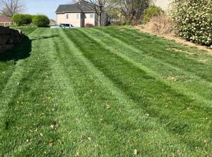 Augustine M.'s grass maintenance service result