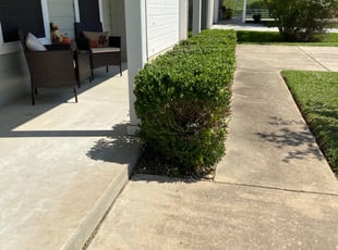 Danny N.'s Bush Trimming service result