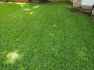 Michael F.'s lawn maintenance service result