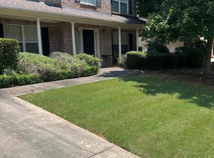 Jonathan K.'s Bush Trimming service result