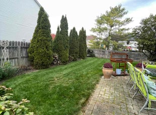 Michael N.'s grass cutting service result
