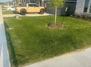 Jeremy C.'s lawn care service result