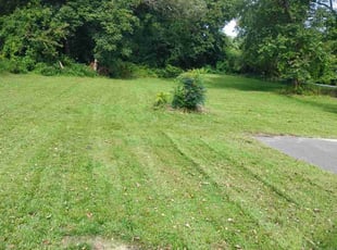 Nancy K.'s turf care service result