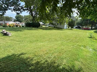 Penny W.'s lawn maintenance service result