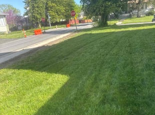 Lucien W.'s turf maintenance service result