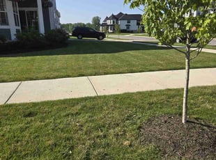 Lagonia R.'s lawn care services service result