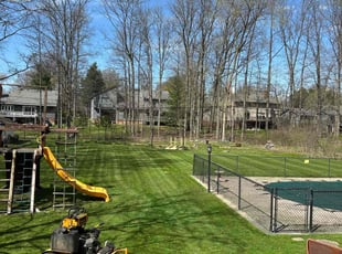 Davis S.'s turf maintenance service result