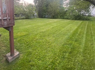 MIRACLE A.'s grass maintenance service result