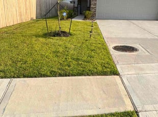 Davey H.'s grass maintenance service result
