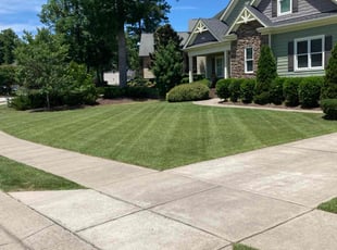 Sander S.'s lawn care services service result