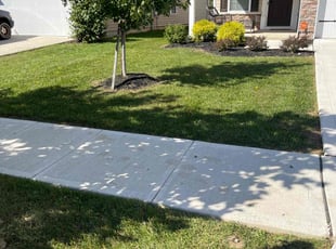 Joycelyn C.'s grass cutting service result