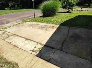 Theresa P.'s lawn service service result